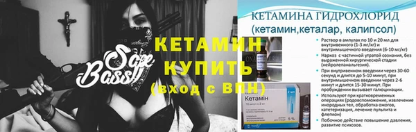 крисы Осинники