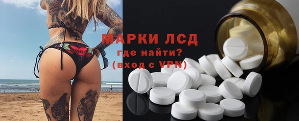 крисы Осинники