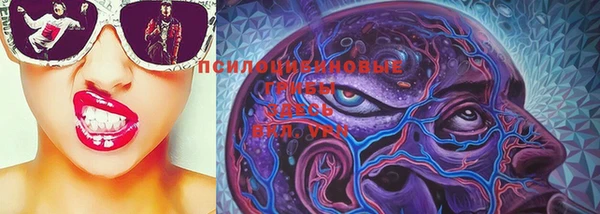 метадон Няндома