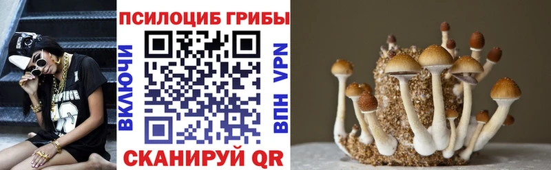 Псилоцибиновые грибы Psilocybine cubensis  Боготол 